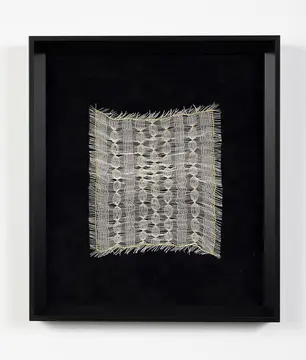 1. Quiet Lineage_In the fold 