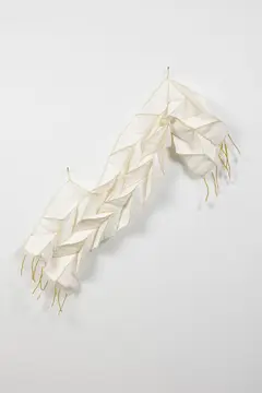 3. Echo in the Fold II_In the fold